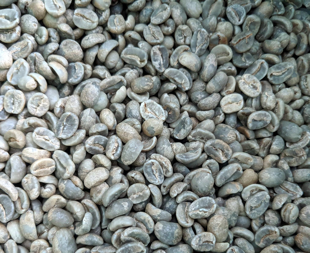 Green, Unroasted Specialty Coffee